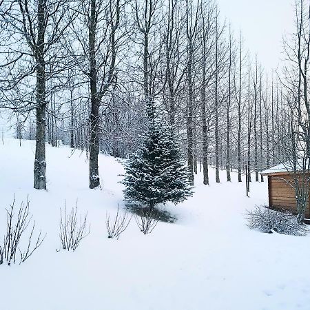 Апартаменти Laekjarbakki 11 Вармаглід Екстер'єр фото